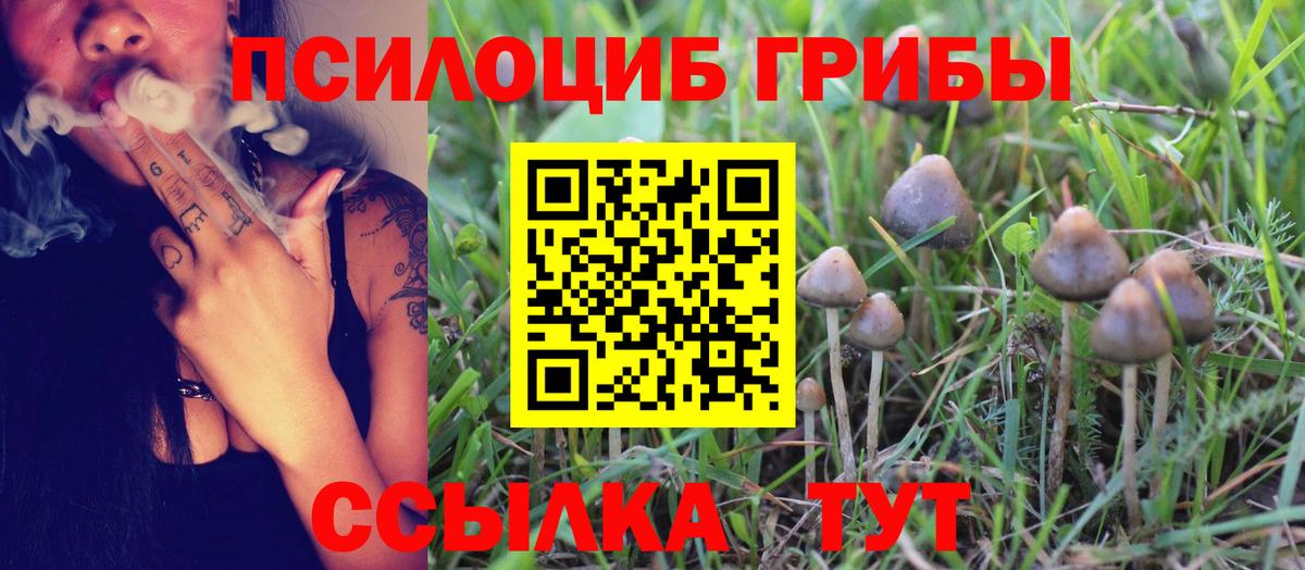 Галлюциногенные грибы GOLDEN TEACHER Хабаровск