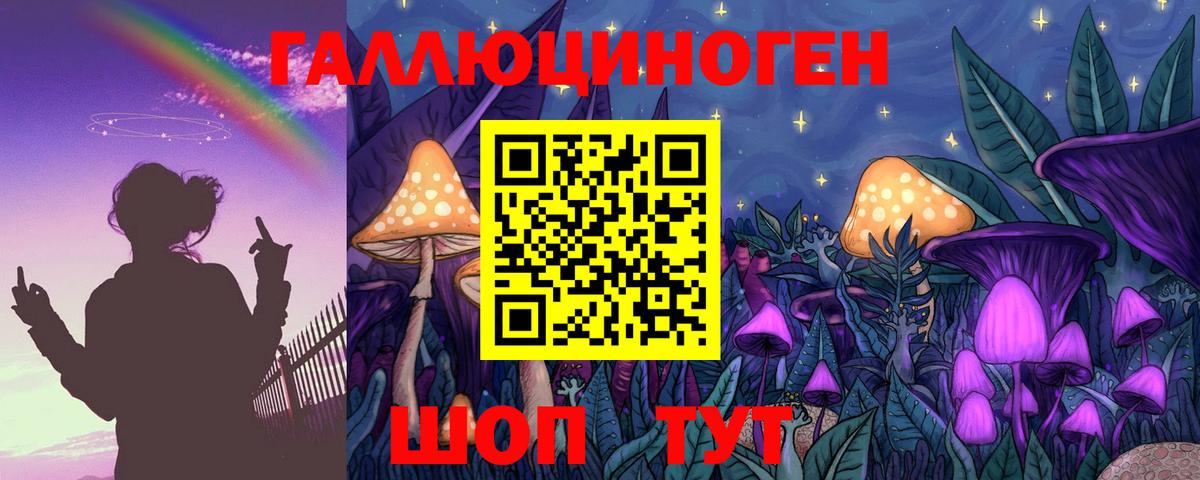Галлюциногенные грибы мухоморы  наркотики  Хабаровск  Вход с VPN 